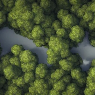 an opening in the woodlands : : high angle shot fr...