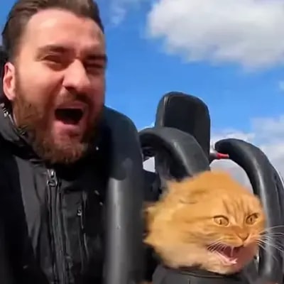 Это видео набрало миллионы просмотров в инсте