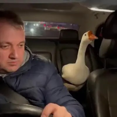 Сгенерировано в нашем боте