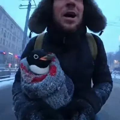 Сгенерировано в нашем боте