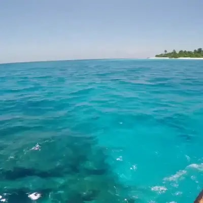 Ещё одна идея под миллионные Видео в ваши соц сети, просто добавьте неожиданный объект, который появ