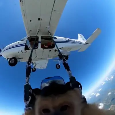 Интересная идея с прыжком с парашюта и ГоПро камерой)