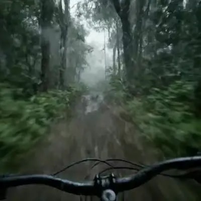 Veo3- неожиданные встречи в лесу, такое всегда набирает) экспериментируйте тут t.me/veoseebot