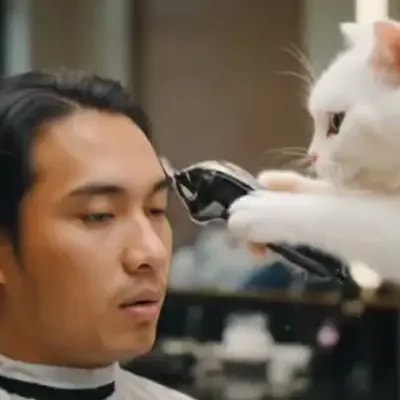 Оригинально: котёнок подстригает, отлично подойдёт с немного другим подходом но такой идей для рекла