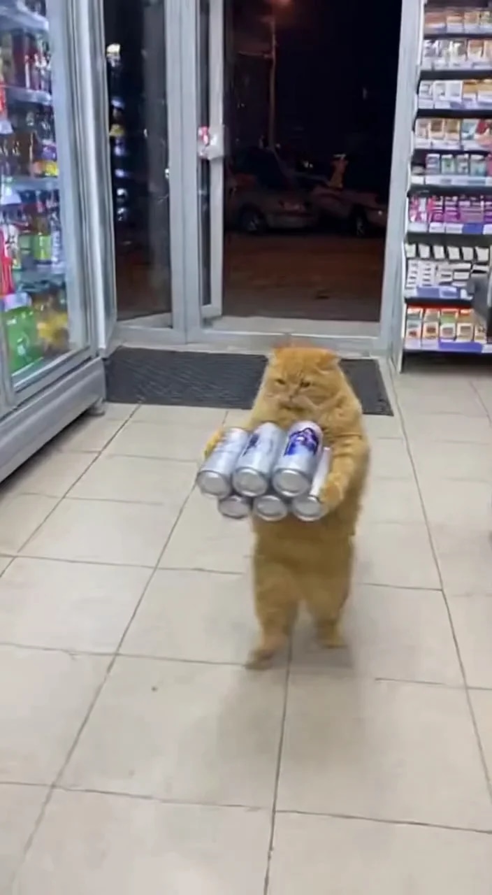 Видео набрало 100к лайков с этим промптом у нашего партнёра) экспериментируйте меняйте животных/диал