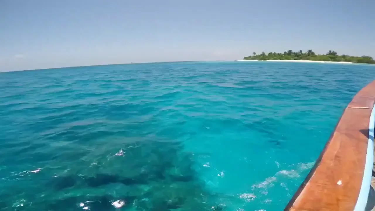 Ещё одна идея под миллионные Видео в ваши соц сети, просто добавьте неожиданный объект, который появ