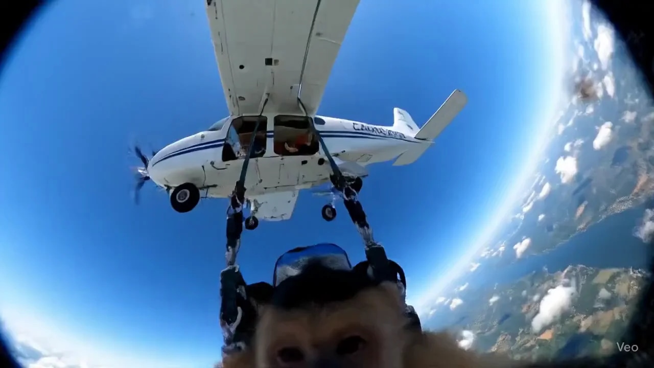 Интересная идея с прыжком с парашюта и ГоПро камерой)