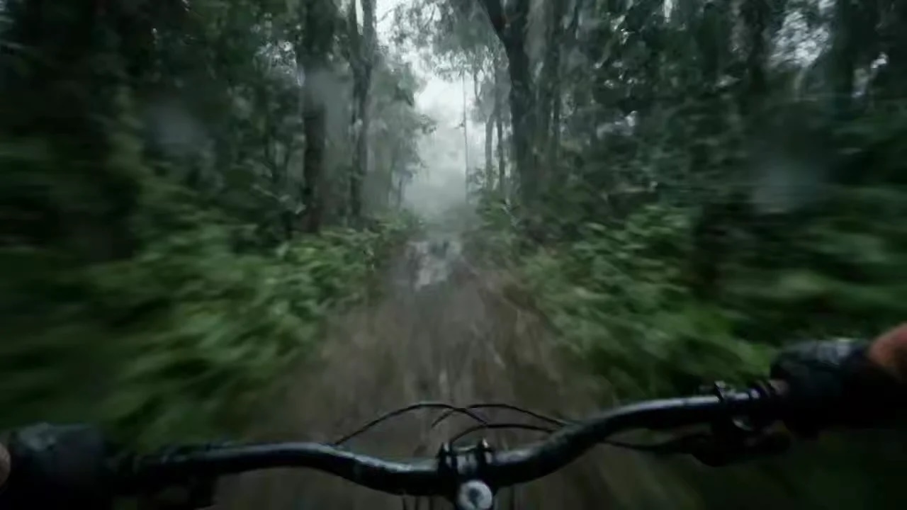 Veo3- неожиданные встречи в лесу, такое всегда набирает) экспериментируйте тут t.me/veoseebot