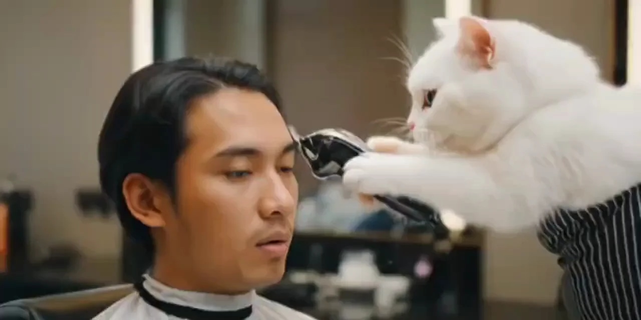 Оригинально: котёнок подстригает, отлично подойдёт с немного другим подходом но такой идей для рекла